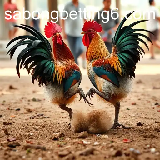 The Rise of Sabong Betting and its Global Influence